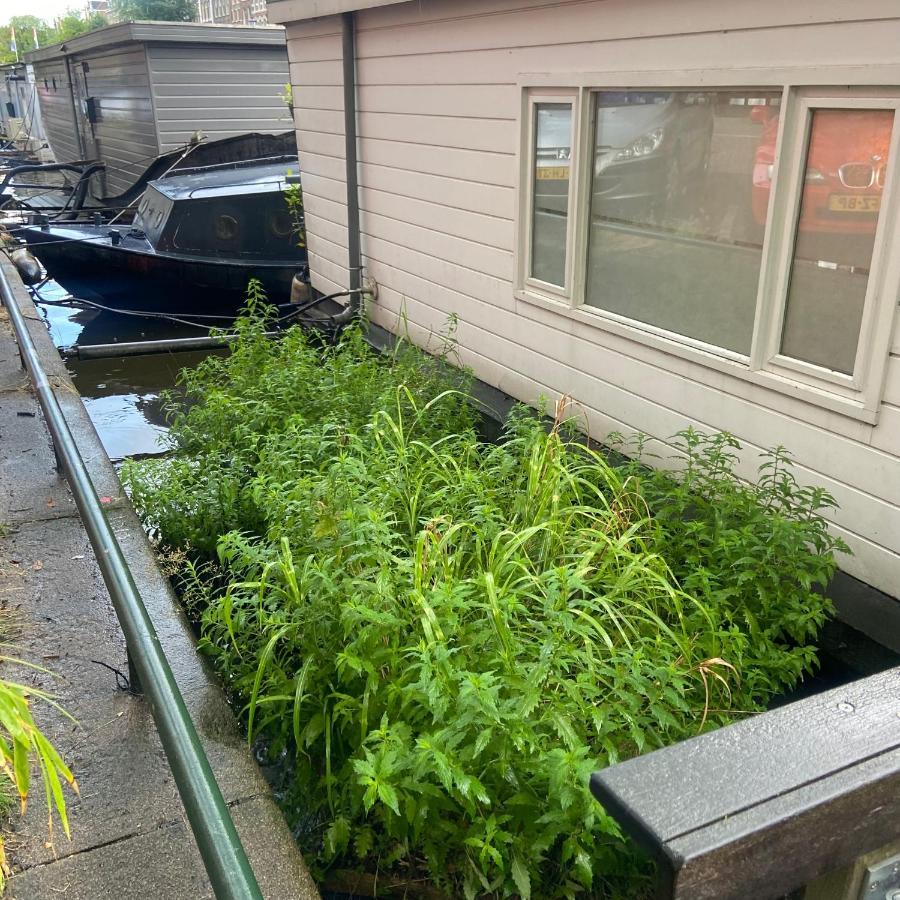 Bed and breakfast Houseboat Bonnie